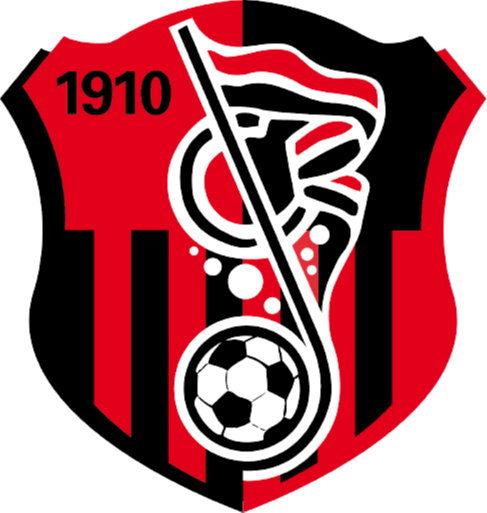 https://img.mzzfbz.com/img/football/team/93e018cff141af47eae05333ac19a65d.png